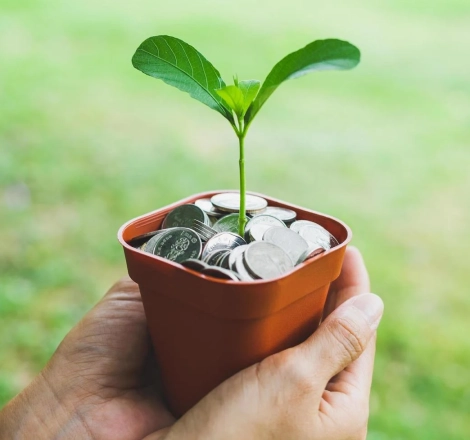 About Vaskal Foundation